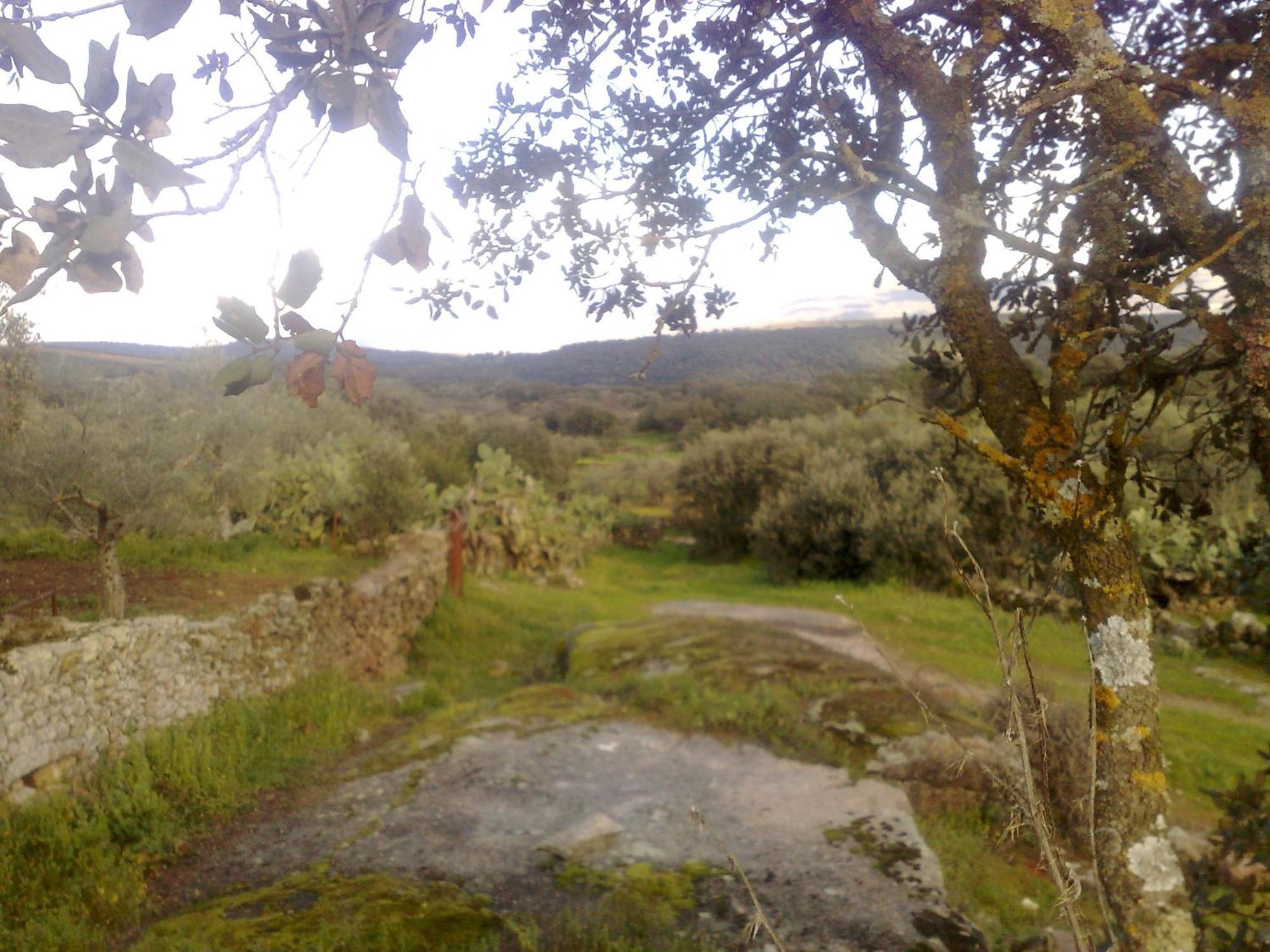 Apartamentos El Jardin Del Poeta Guijo de Granadilla Exteriér fotografie