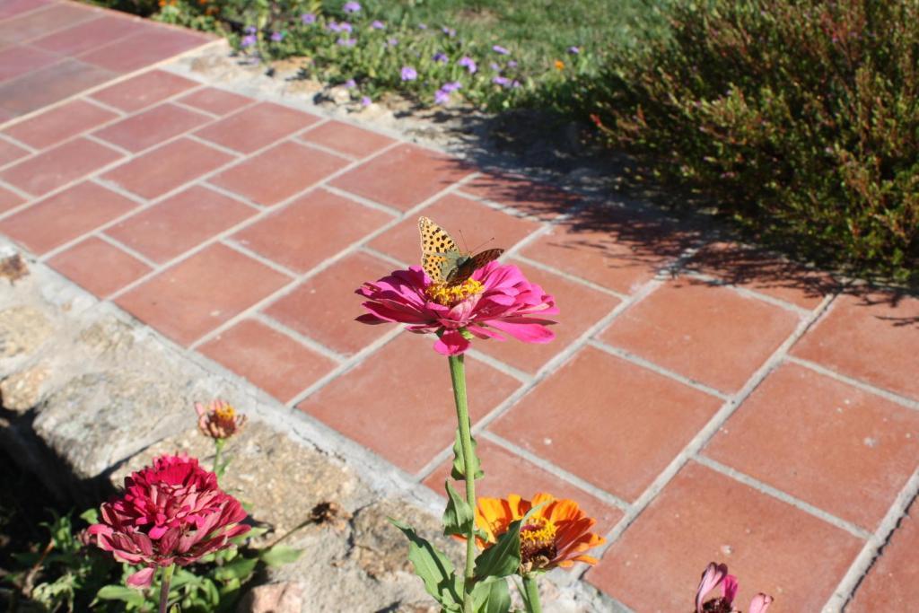 Apartamentos El Jardin Del Poeta Guijo de Granadilla Exteriér fotografie