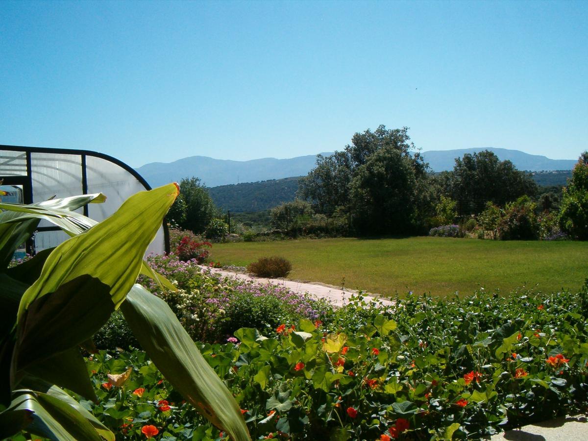Apartamentos El Jardin Del Poeta Guijo de Granadilla Exteriér fotografie